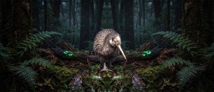 The Southern Brown Kiwi